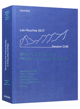 英文原版 Effective Field Theory in Particle Physics and Cosmology 粒子物理学与宇宙学中的有效场论 英文版 进口英语书籍