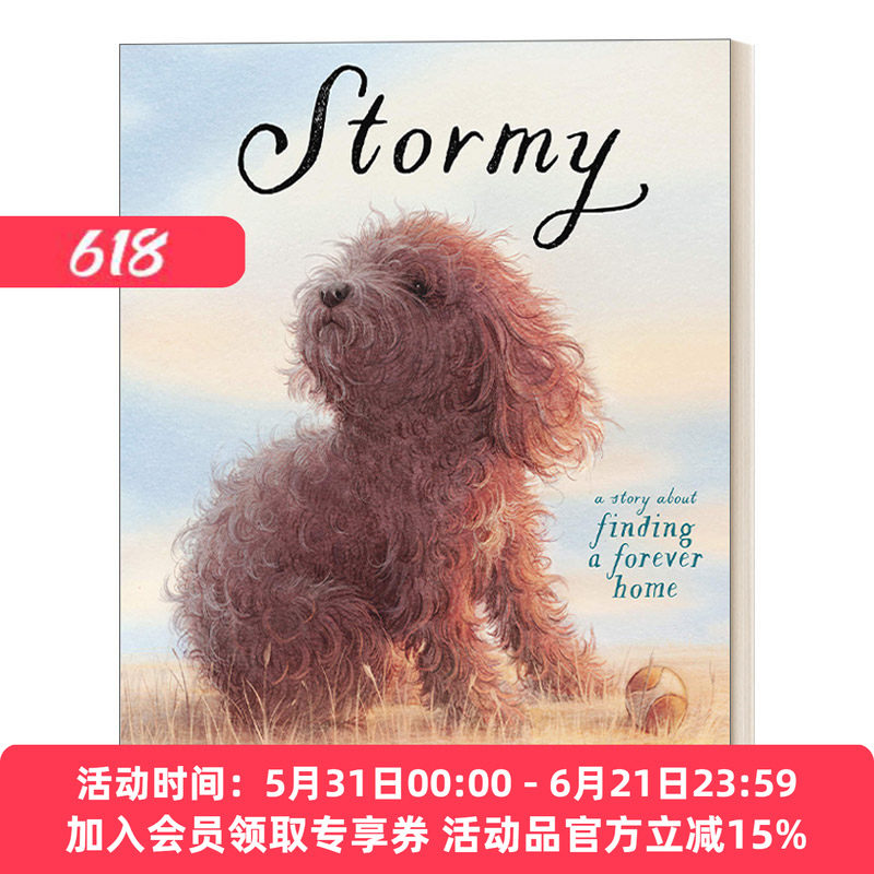 暴风雨 英文原版绘本 Stormy 寻找一个永远的家 3-7岁儿童友谊漫画绘本 独生小孩作者郭婧 精装 英文版 进口英语原版书籍