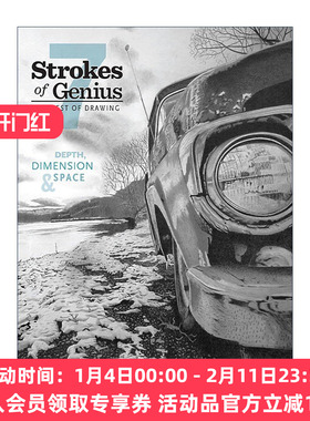 英文原版 Strokes of Genius 7 Depth Dimension and Space 写实绘画全解析 深度 维度和空间 绘画技巧指南 雷切尔·鲁宾·沃尔夫