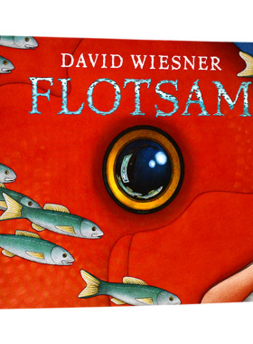 大卫威斯纳凯迪克大奖5本套装 英文原版绘本 David Wiesner 疯狂星期二 海底的秘密 三只小猪 华夫先生 英文版进口儿童英语故事书