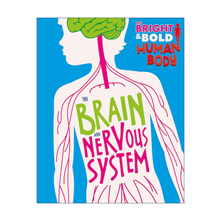 Brain The Human 英文原版 Nervous 大脑和神经系统 and 图解人体结构 Bright 儿童人体科普百科进口书 Bold System Body