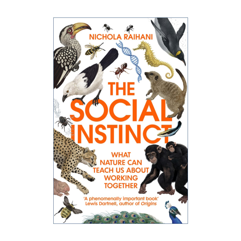 人类还能好好合作吗  英文原版 The Social Instinct 尼古拉·雷哈尼 英文版 进口英语原版书籍