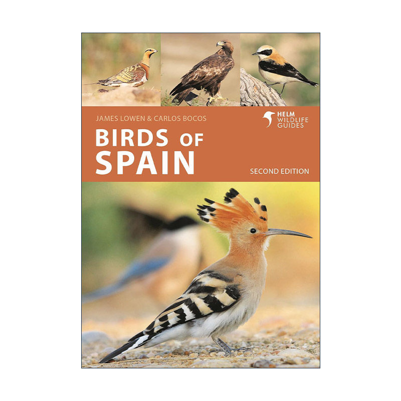英文原版 Birds of Spain 西班牙鸟类图鉴 英文版 进口英语原版书籍