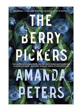 英文原版 The Berry Pickers 摘浆果的人 Amanda Peters畅销小说 英文版 进口英语原版书籍