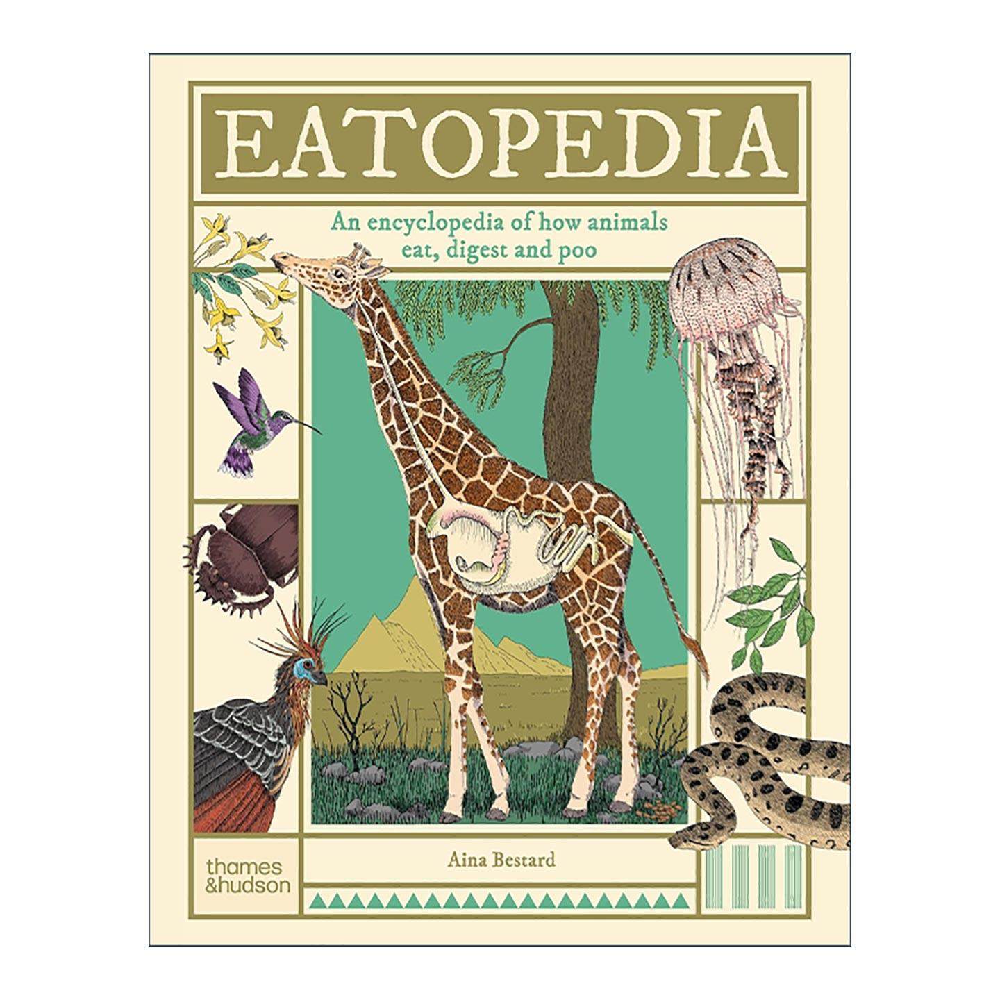 英文原版 Eatopedia 动物进食与消化系统大百科 儿童科普百科知识读物精装 博洛尼亚童书奖得主Aina Bestard 进口英语原版书籍