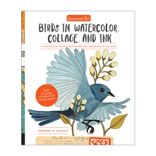 吉宁娜的艺术 英文原版 Geninne's Art Birds in Watercolor Collage and Ink 水彩 拼贴和水墨画中的鸟类 艺术技巧和野外观察