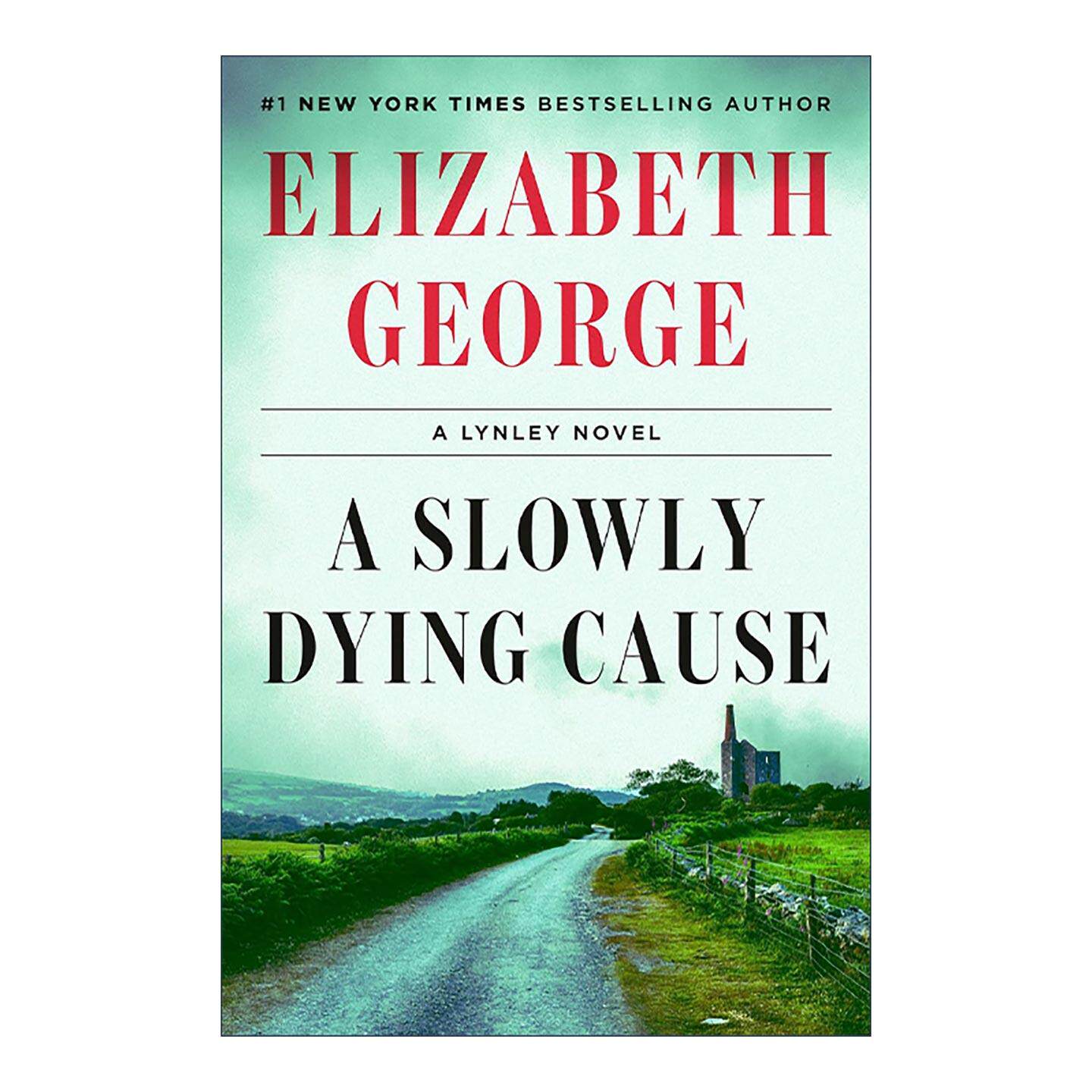 英文原版 A Slowly Dying Cause 逐渐消亡的理由 BritBox同名美剧原著 阿加莎奖得主Elizabeth George 英文版 进口英语原版书籍
