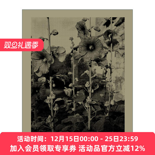 英文原版 Nicholas Nixon Closing The Distance 拉近距离 尼古拉斯·尼克松 纪实肖像摄影集精装 英文版 进口英语原版书籍