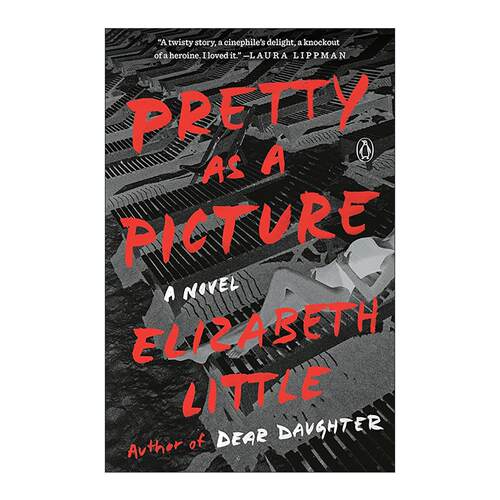 英文原版 Pretty as a Picture 美如画 华尔街日报年度好书 女性推理小说 Elizabeth Little 英文版 进口英语原版书籍