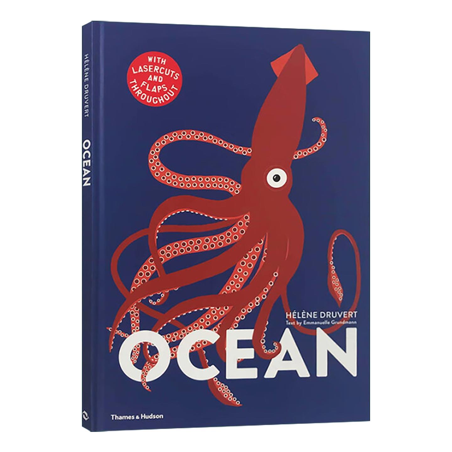 英文原版 Ocean 纸雕立体书 海洋的奥秘 儿童自然科普百科读物精装 Helene Druvert 英文版 进口英语原版书籍