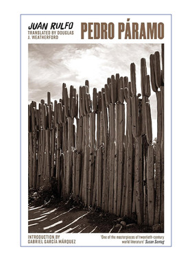 英文原版 Pedro Páramo 佩德罗·巴拉莫 胡安·鲁尔福 拉美魔幻现实主义开山鼻祖 英文版 进口英语原版书籍