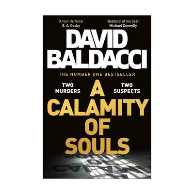 英文原版 A Calamity of Souls 灵魂之灾 惊悚悬疑推理小说 戴维·鲍尔达奇 David Baldacci 英文版 进口英语原版书籍