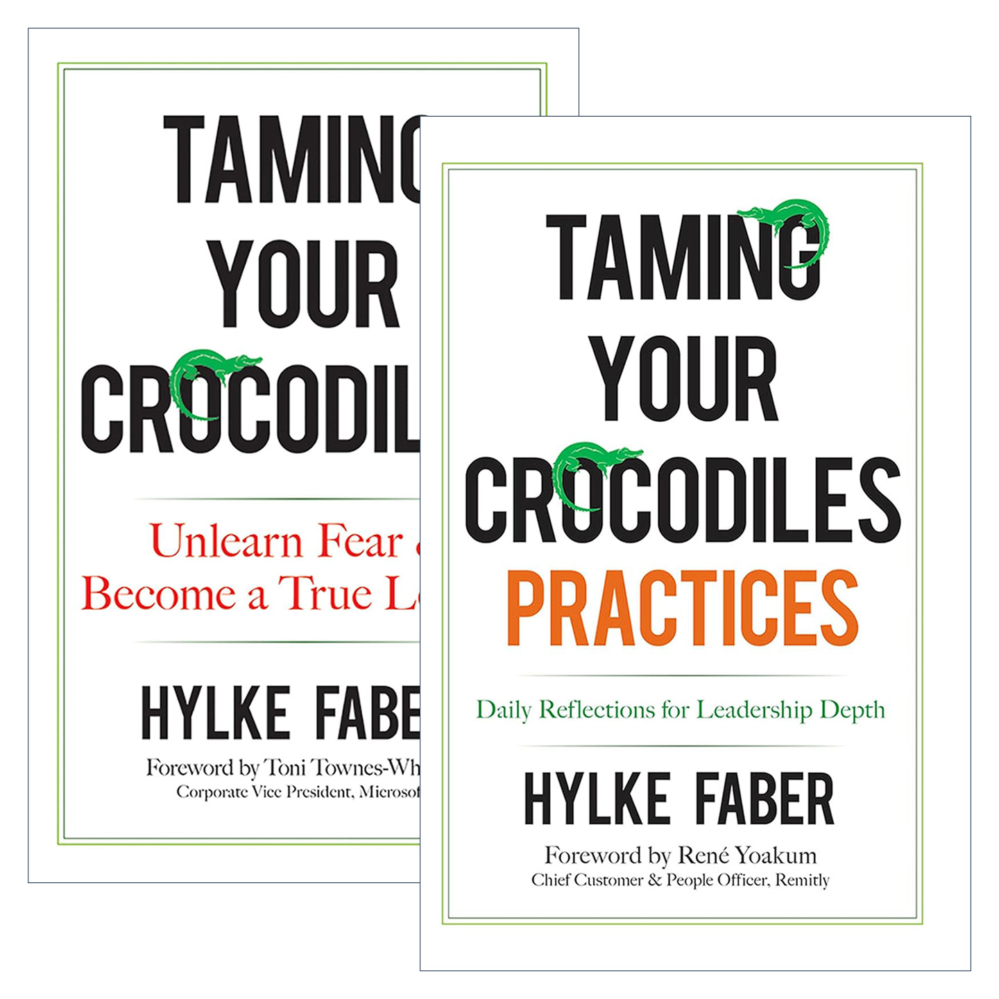 英文原版 Taming Your Crocodiles系列2册 驯服你的鳄鱼+实践手册 组织管理指南 Hylke Faber 英文版 进口英语原版书籍
