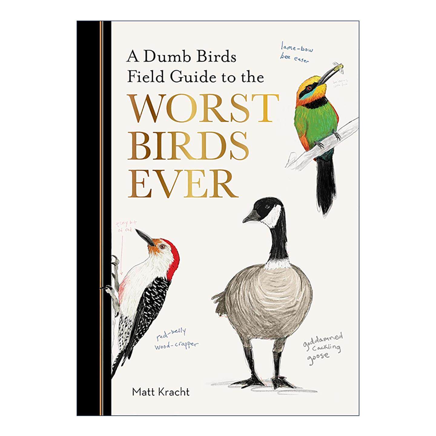 英文原版 A Dumb Birds Field Guide to the Worst Birds Ever 傻鸟指南 又坏又笨的鸟 英文版 进口英语原版书籍