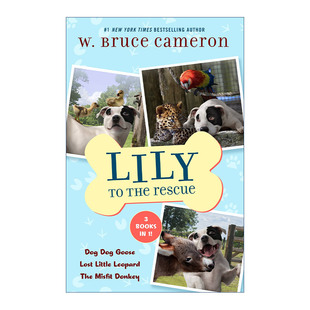 Rescue Books Lily the 英文版 书籍 英文原版 6合集 Bind 进口英语原版 救援犬莉莉4