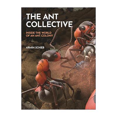 英文原版 The Ant Collective 蚂蚁集 走进蚁群世界 3D插图 普林斯顿自然科普 精装 Armin Schieb 英文版 进口英语原版书籍