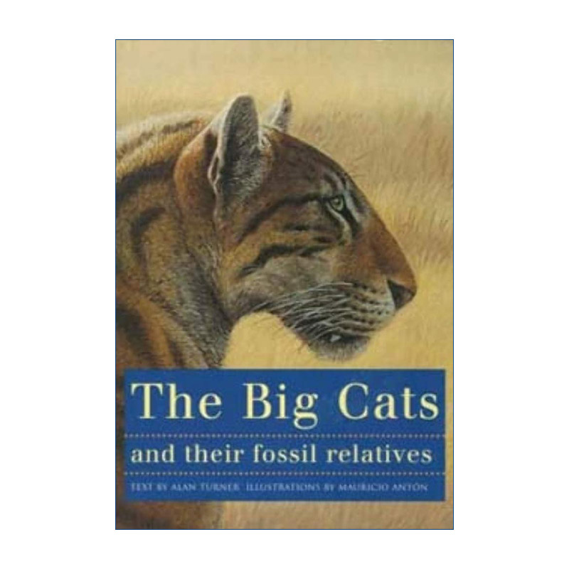 大猫和它们的化石亲属 英文原版 The Big Cats and Their Fossil Relatives 猫科动物的演化及其博物学图解指南 Alan Turner英文版