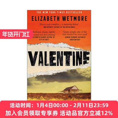英文原版 Valentine 瓦伦汀 Elizabeth Wetmore畅销女性题材小镇文学 斯坦福假期阅读书单 英文版 进口英语原版书籍