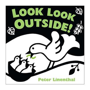 英文原版 Look Look Outside 看看外面 儿童启蒙认知绘本 黑白对比插图 纸板书 Peter Linenthal 英文版 进口英语原版书籍
