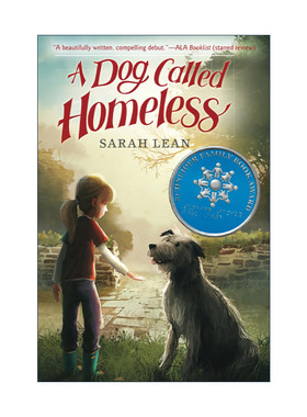 英文原版 A Dog Called Homeless 天蓝色的守护 动物与心灵成长故事 英文版 进口英语原版书籍