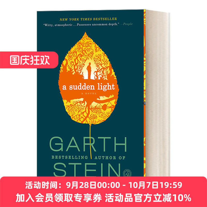 穿过森林的男孩 英文原版小说 A Sudden Light 加思·斯坦 英文版 进口英语原版书籍
