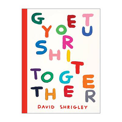 英文原版 Get Your Sh*t Together 得心应手 插画家David Shrigley 英文版 进口英语原版书籍
