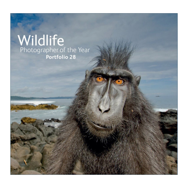 年度野生动物摄影师作品集 英文原版 Wildlife Photographer of the Year Portfolio 28 第28卷 精装 英文版 进口英语原版书籍