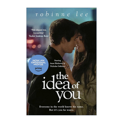 英文原版 The Idea of You 关于你的想法 罗宾尼?李浪漫小说 安妮海瑟薇 尼古拉斯·加利齐纳 主演电影原著 进口英语原版书籍