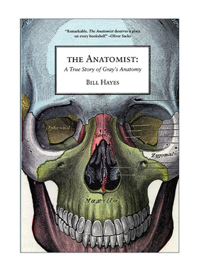 英文原版 The Anatomist 解剖学家 Gray's Anatomy格雷氏解剖学的真实故事 传记 Bill Hayes 英文版 进口英语原版书籍