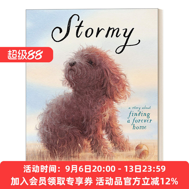 暴风雨 英文原版绘本 Stormy 寻找一个永远的家 3-7岁儿童友谊漫画绘本 独生小孩作者郭婧 精装 英文版 进口英语原版书籍