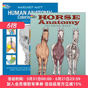 英文原版 Dover Science For Kids Coloring Books 儿童人体/马类解剖涂色着色书2册 科普益智游戏活动书 英文版 进口英语原版书籍