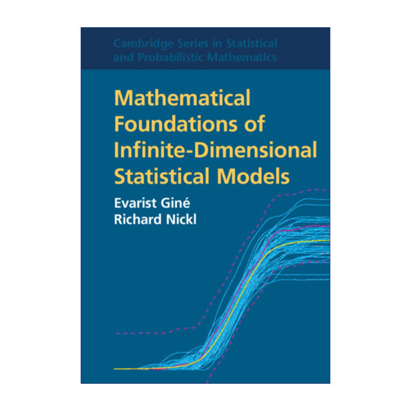 无穷维统计模型的数学基础 英文原版 Mathematical Foundations of Infinite-Dimensional Statistical Models 剑桥统计与概率数学