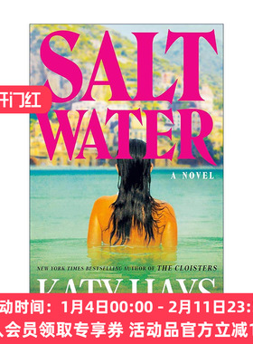 英文原版 Saltwater 咸水 盐水 惊悚悬疑小说 Katy Hays 英文版 进口英语原版书籍