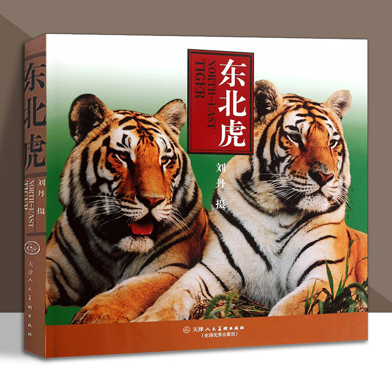 东北虎 刘丹动物猛禽摄影图片资料美术绘画素材书籍 天津人美