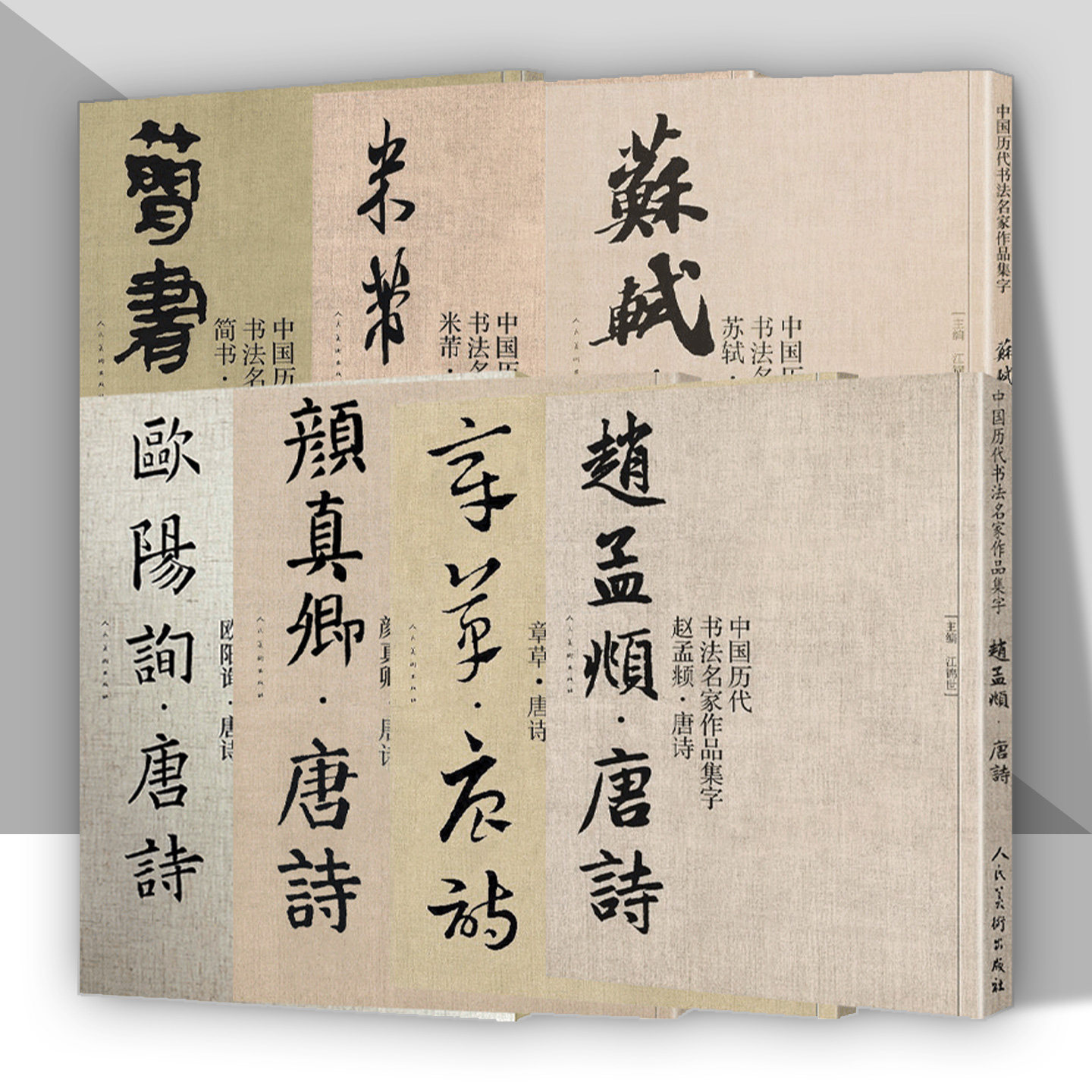 中国历代书法名家作品集字系列 唐诗 米芾 苏轼 孙过庭 王羲之 赵孟頫 王铎 章草唐诗等临帖字帖赏析 人民美术出版社 - 实物图