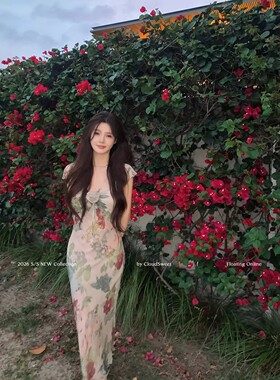 CloudSweet白云甜 中古感玫瑰油画裙复古印花连衣裙法式鱼尾长裙