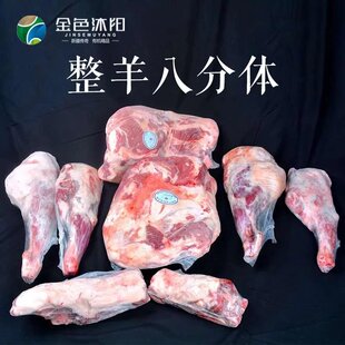 产自新疆 金色沐阳武汉发货巴什拜羔羊整羊八分体 半只13斤