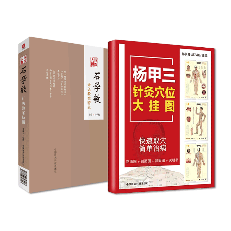 中国医药科技出版社石学敏