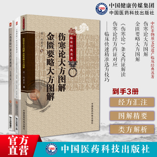 伤寒论条文药证解读伤寒论经方药证对应临床快速精准选方技巧伤寒运用经方临床经验药证伤寒论大方图解金匮要略大方图解归纳伤寒论