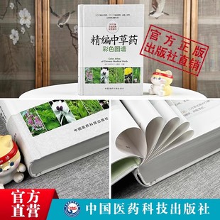 精编中草药彩色图谱中药原色百草图文鉴别要点性状功效用法量食疗药膳中药养生配伍处方中国药典常用中草药高清彩图解大全识别应用