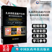 儿童消化道超声扫查基本切面及疾病诊断小儿消化道扫查切面示意图筛查诊断消化道胚胎发育解剖结构生理特点病理状态胎儿小儿期病例