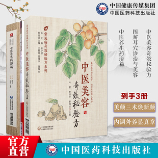 中医美容奇效秘验方常见中医美容中医验方效方方剂组成加减制法用法功效主治图解耳穴诊治与美容疗法中医养生药浴张伯礼足浴疗法方