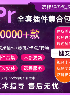 pr2022软件插件全套合集安装包中文版转场调色模板预设磨皮素材