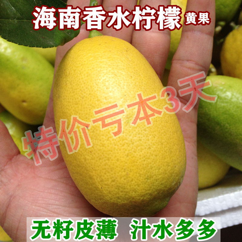黄果香水柠檬新鲜黄柠檬无籽柠檬清香现摘皮薄汁多海南水果二级果