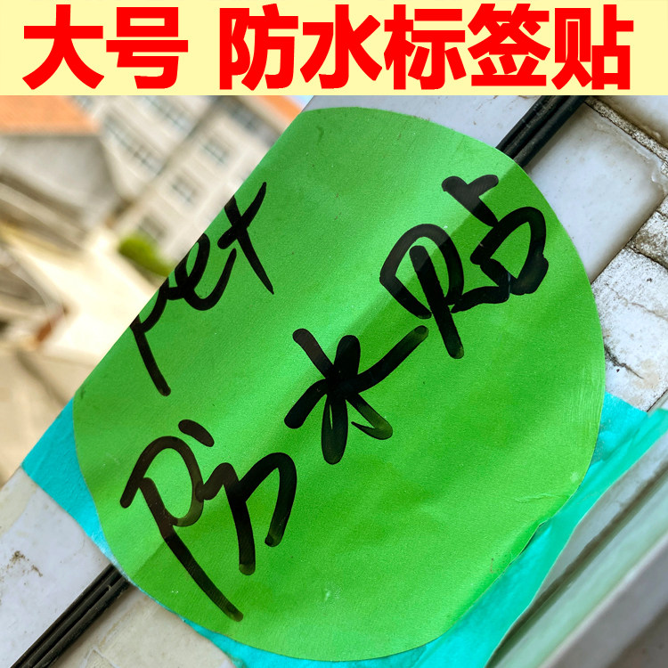 大号标签贴防水姓名贴揭开即贴