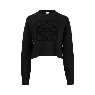 罗意威女士时尚潮流圆领休闲毛衣