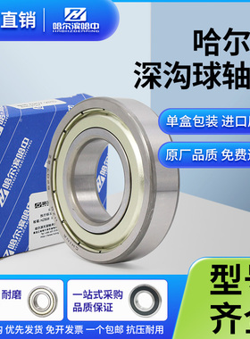 轴承型号大全6300 6301 6302 6303 6304 6305 6306 6307 2RS ZZ