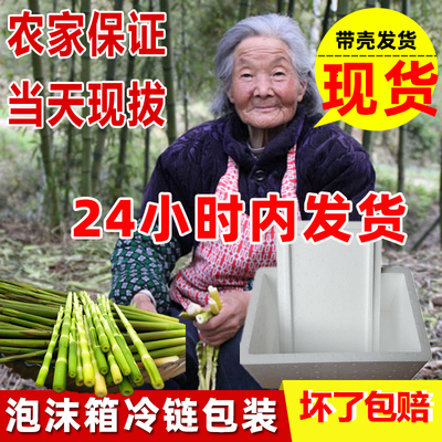 新鲜小竹笋野生水竹笋当天现拔