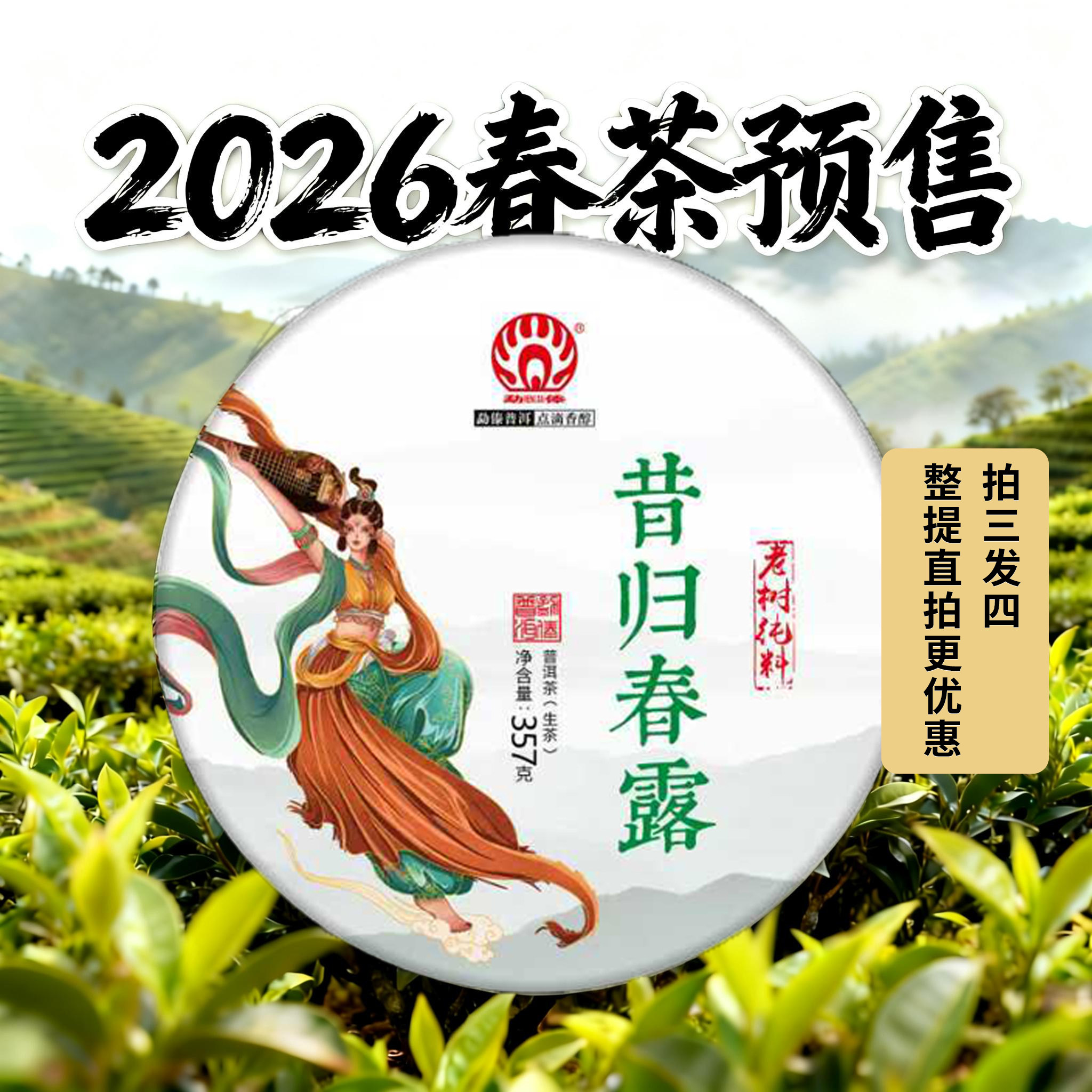 [2026春茶预售]勐傣茶厂昔归春露老友必囤早春香浓味厚超值古树茶