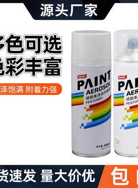 德国进口白色自喷漆家具木具汽车补漆划痕修复车用透明色油漆光油